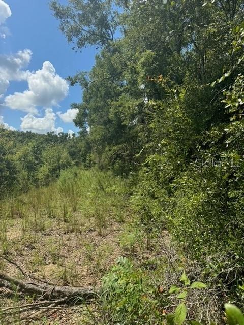 COLES UNR SUB - Land