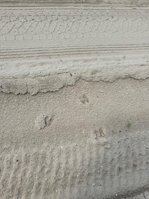 COLES UNR SUB - Land