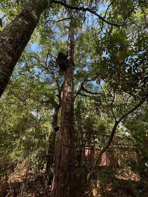 COLES UNR SUB - Land