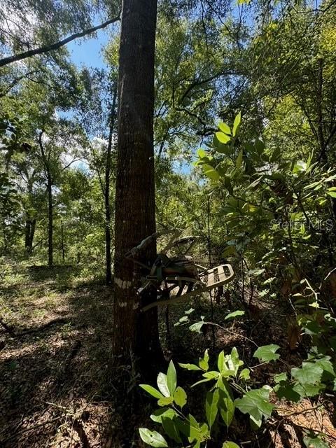 COLES UNR SUB - Land