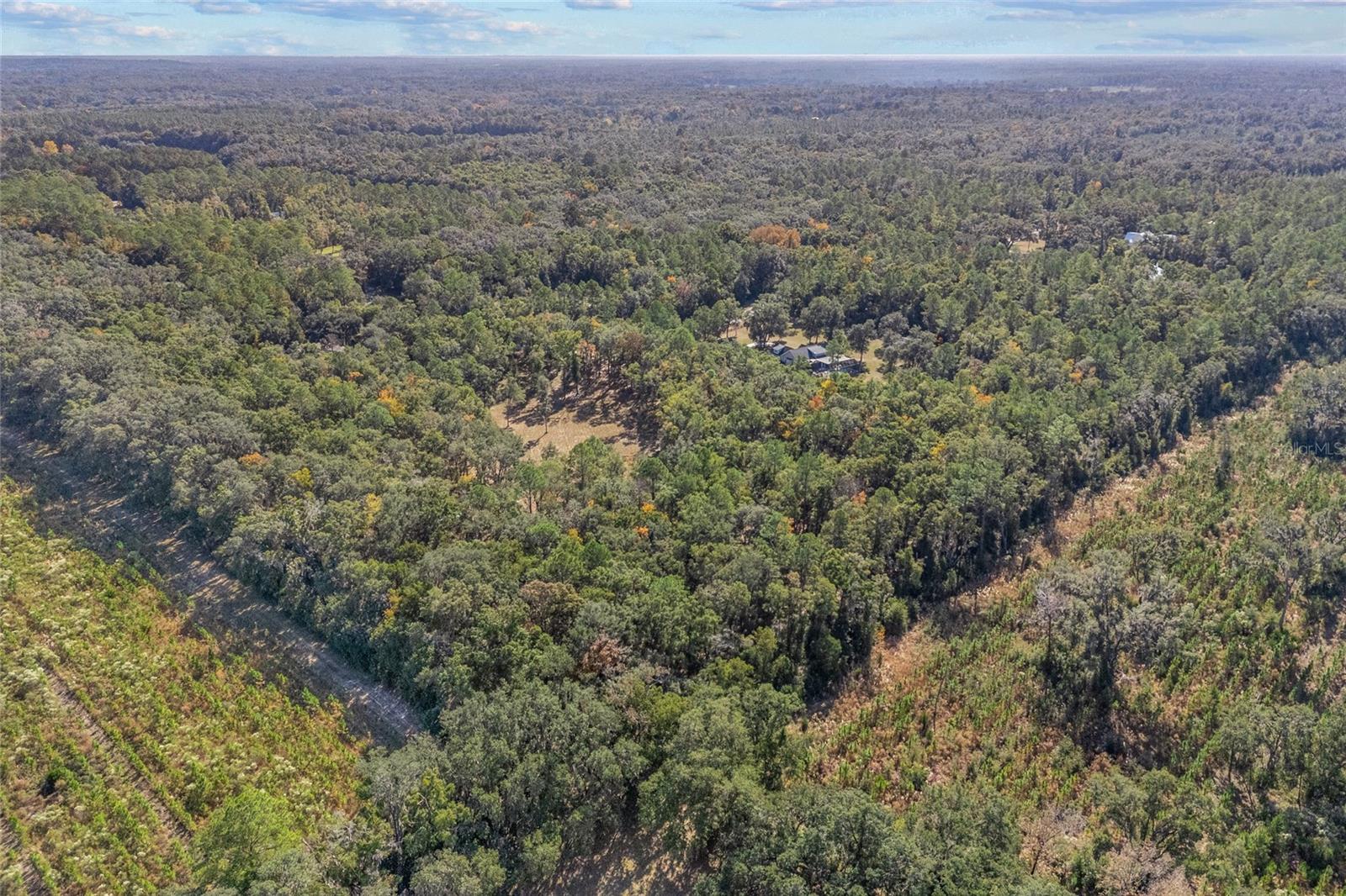 OLD OAK ESTATES - Land