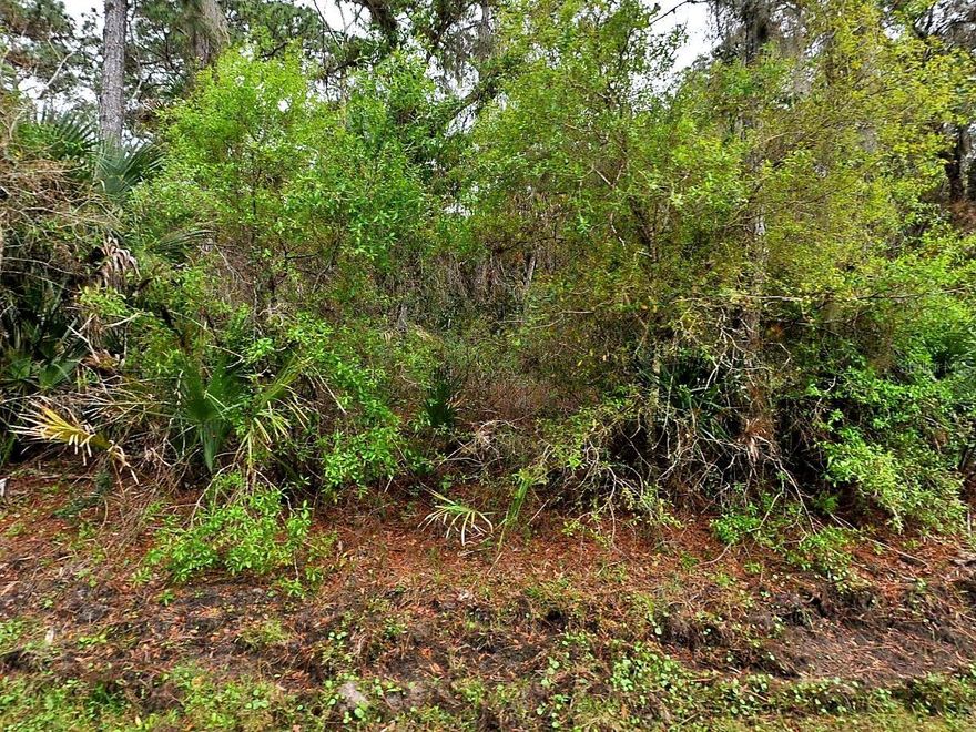 Build your dream home on this land in North Port, FL which is close to I75 and 41.  It is also close to shopping, restaurants, and about 25 min from the beaches.  Don't miss out on this land that is for sale!