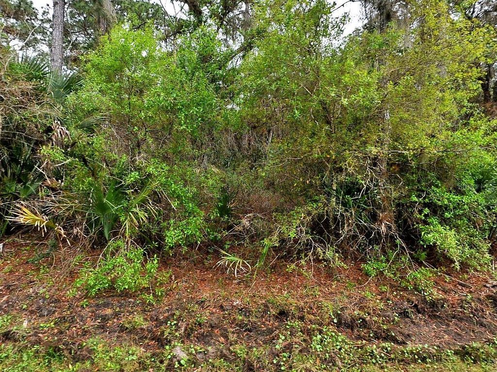 Photo of Hurdle Rd., North Port, FL 34291 (MLS # A4688727)