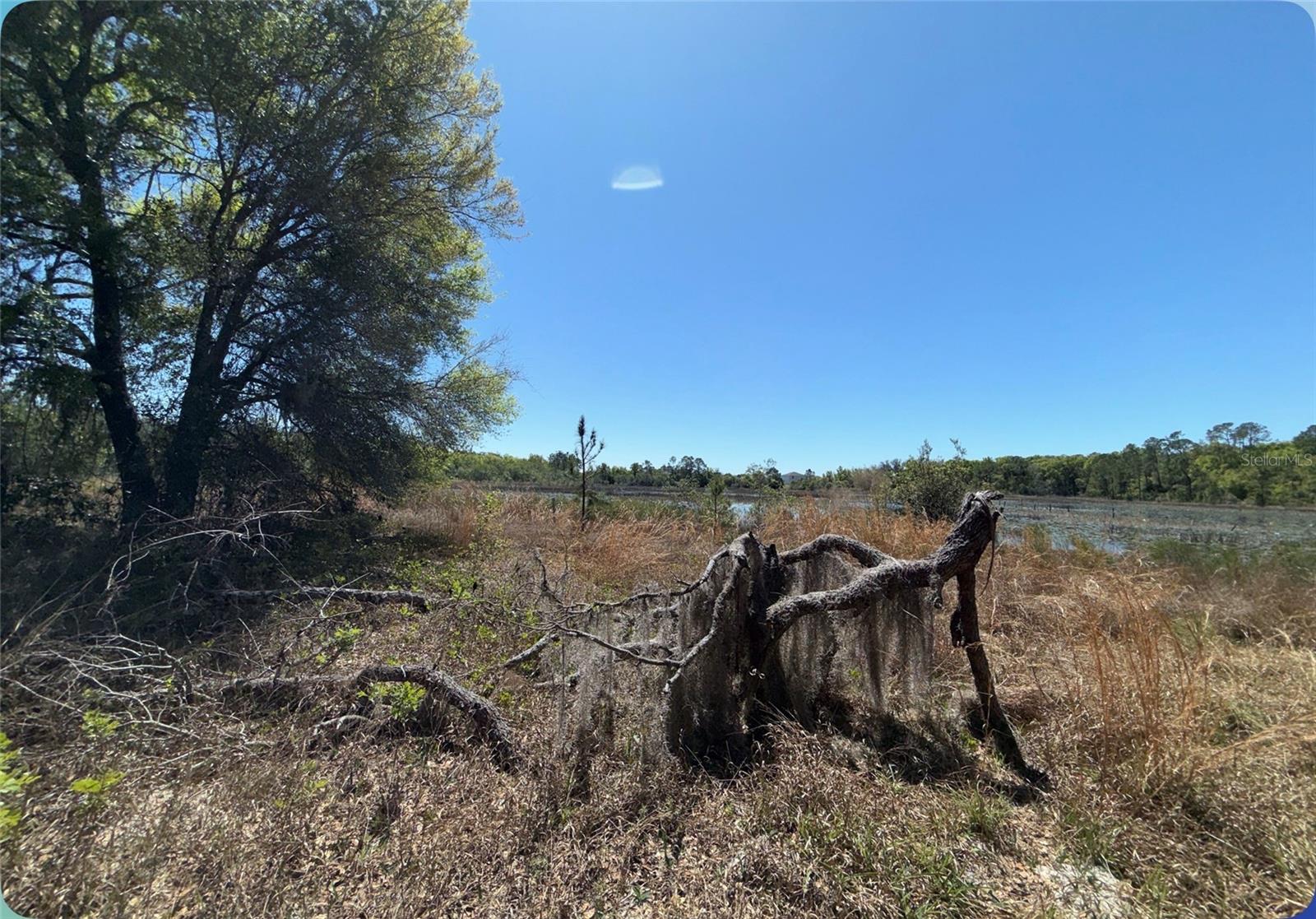 ACREAGE & UNREC - Residential