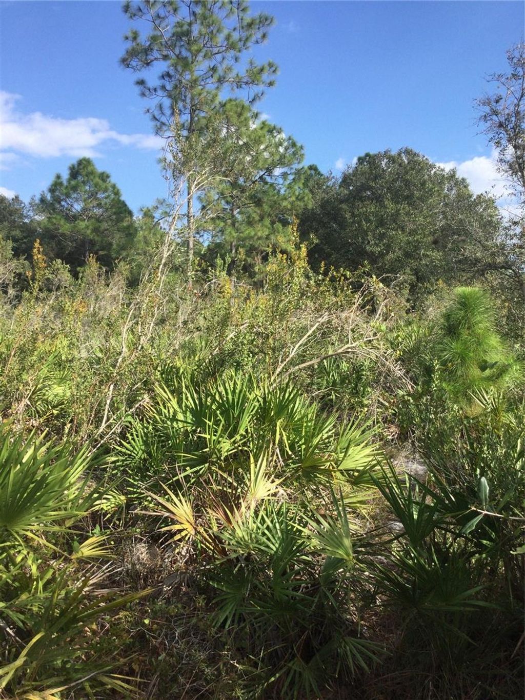 Photo of 1604 5th Avenue, Lehigh Acres, FL 33972 (MLS # TB8476628)