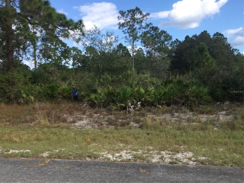 Photo of 1604 5th Avenue, Lehigh Acres, FL 33972 (MLS # TB8476628)