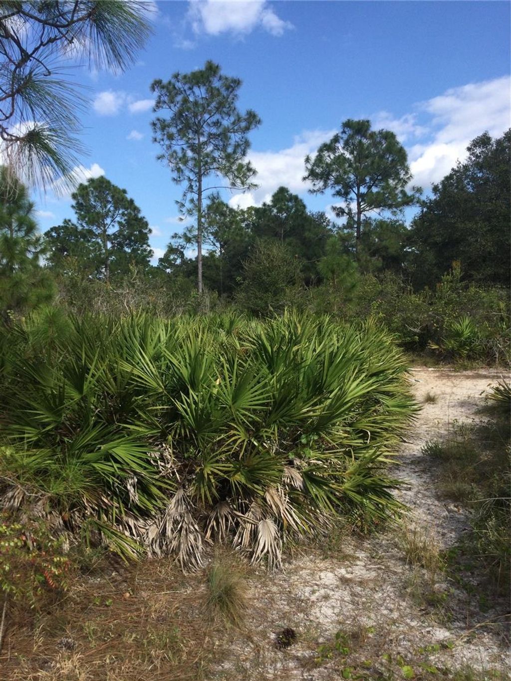 Photo of 1604 5th Avenue, Lehigh Acres, FL 33972 (MLS # TB8476628)