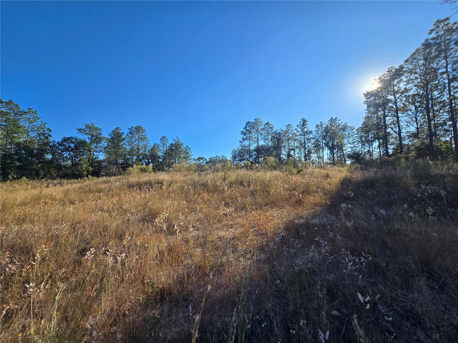 CITRUS SPGS UNIT 03 - Land