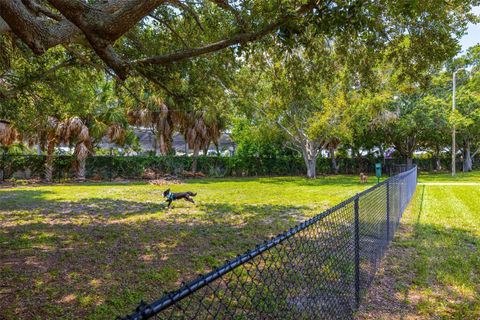 A home in TAMPA