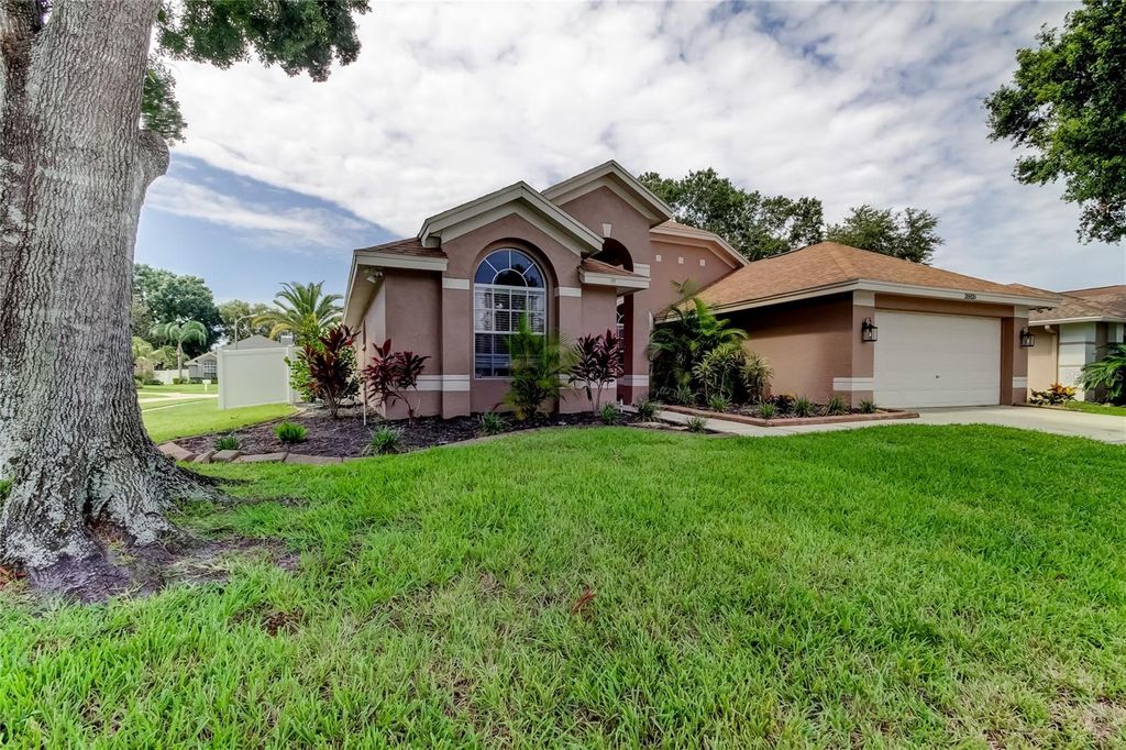 Photo of 28826 Windover Street, Wesley Chapel, FL 33545 (MLS # TB8396987)