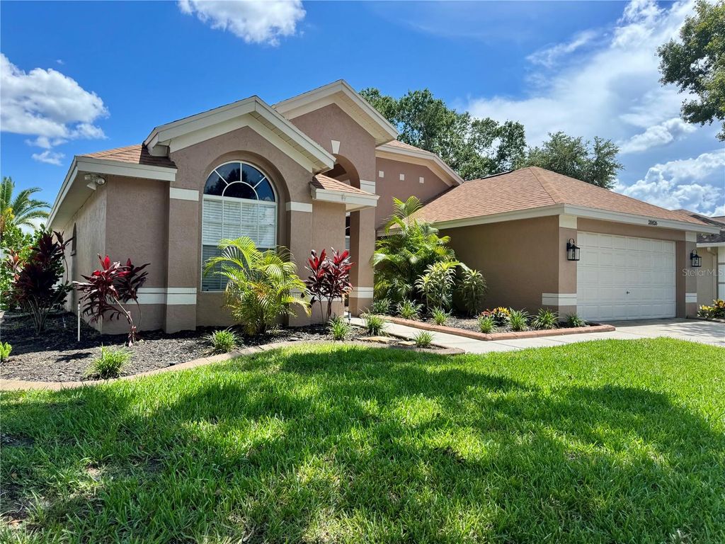 Photo of 28826 Windover Street, Wesley Chapel, FL 33545 (MLS # TB8396987)