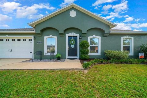 13325 SW 43RD AVENUE ROAD OCALA FL 34473