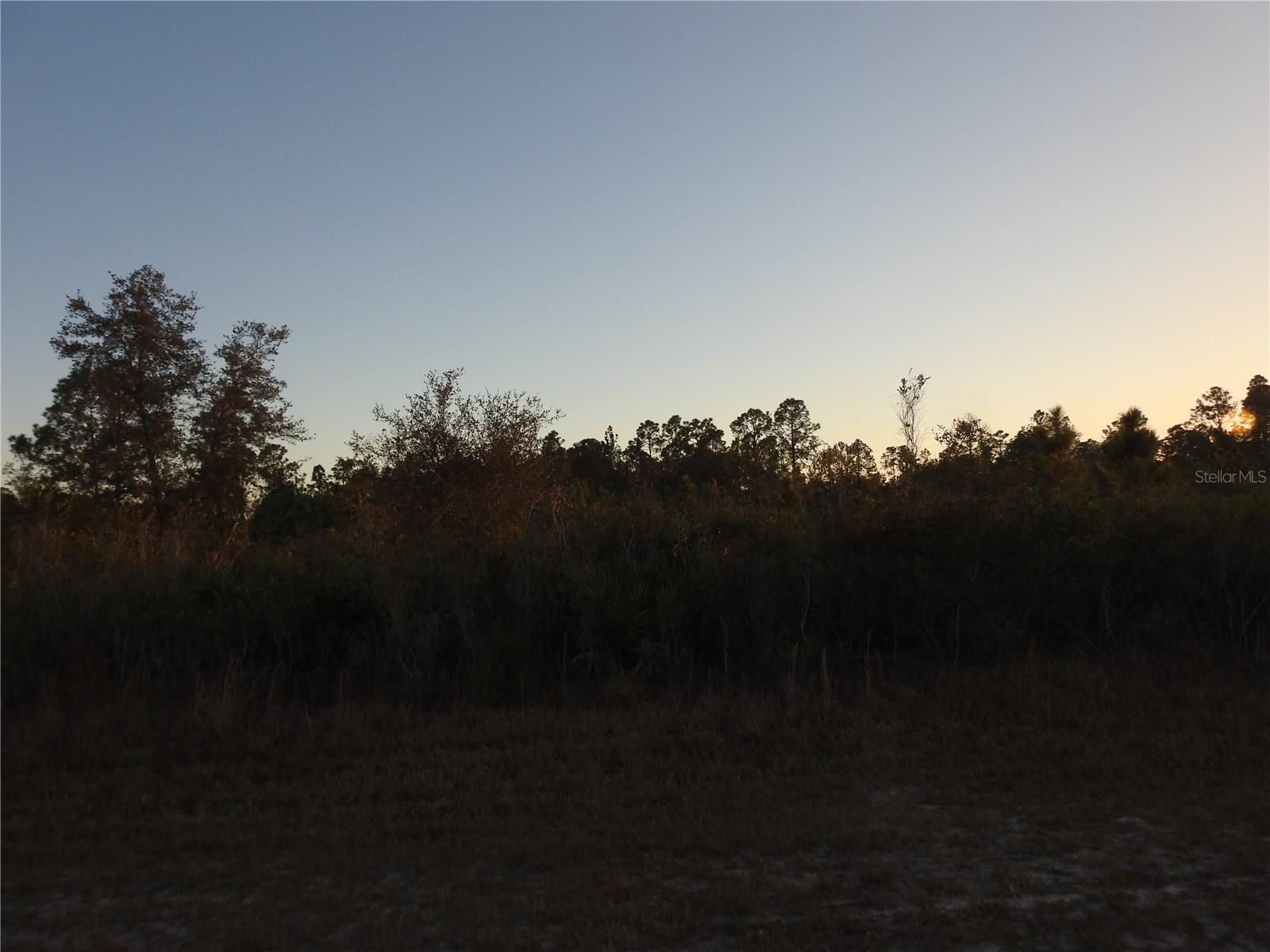 INDIAN LAKE ESTATES - Land