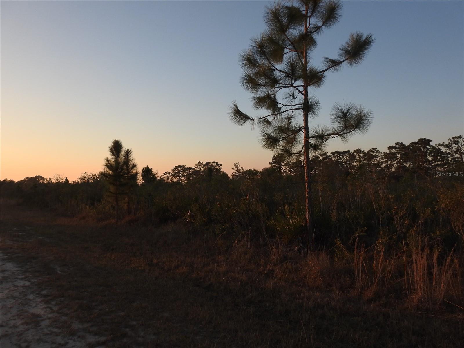 INDIAN LAKE ESTATES - Land