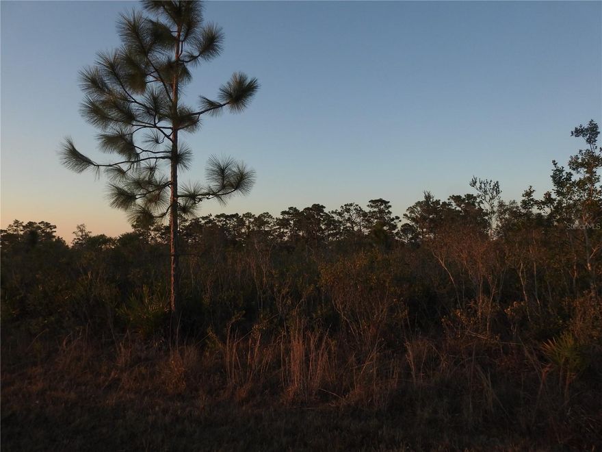 Take advantage of this mostly cleared (of trees) lot near Ponce Deleon Ave. Electricity is right there, centrally located in the community with neighbors nearby. Don't miss this excellent lot for your future Home!