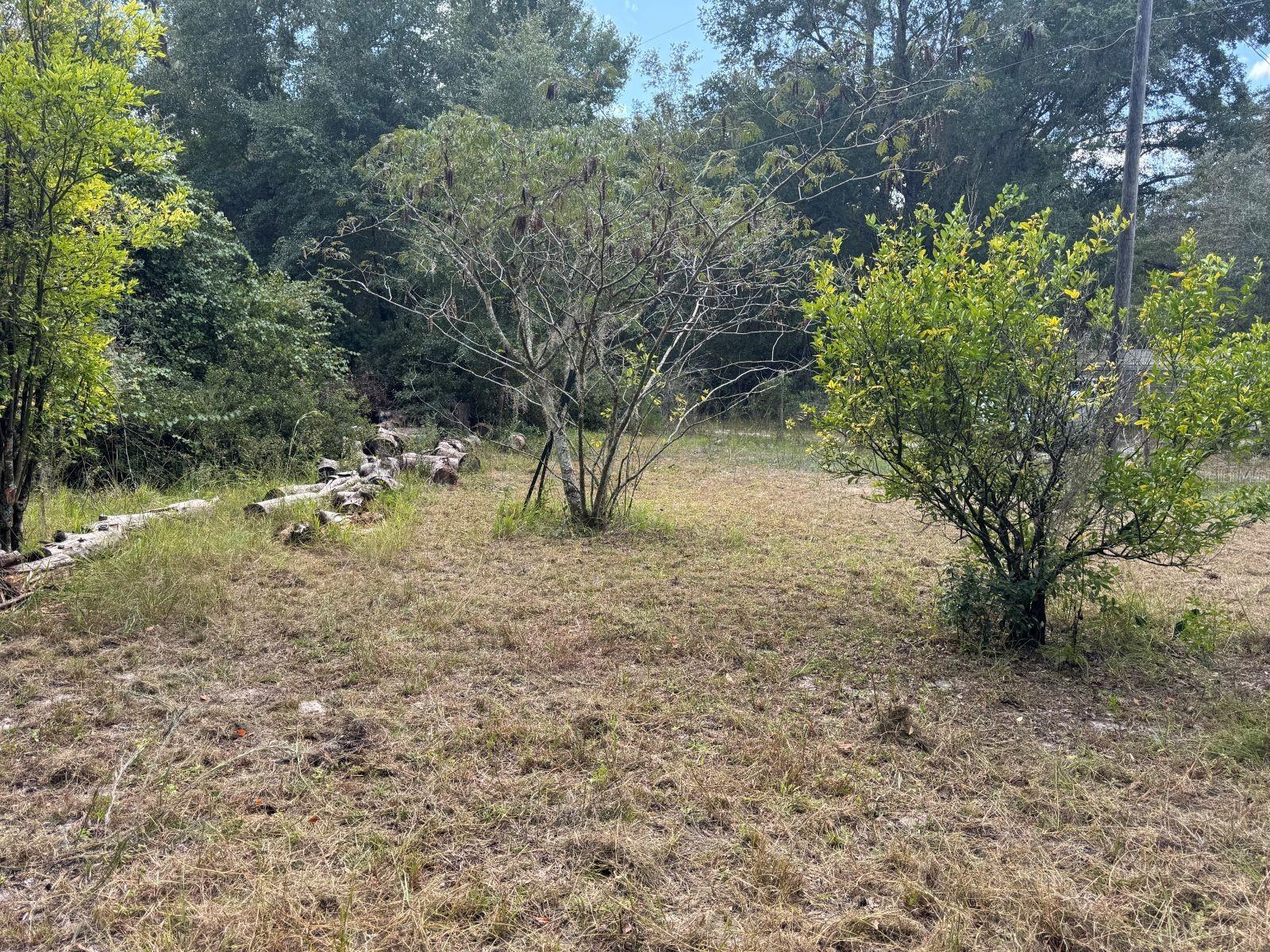 FORT MCCOY CAMPSITES - Land