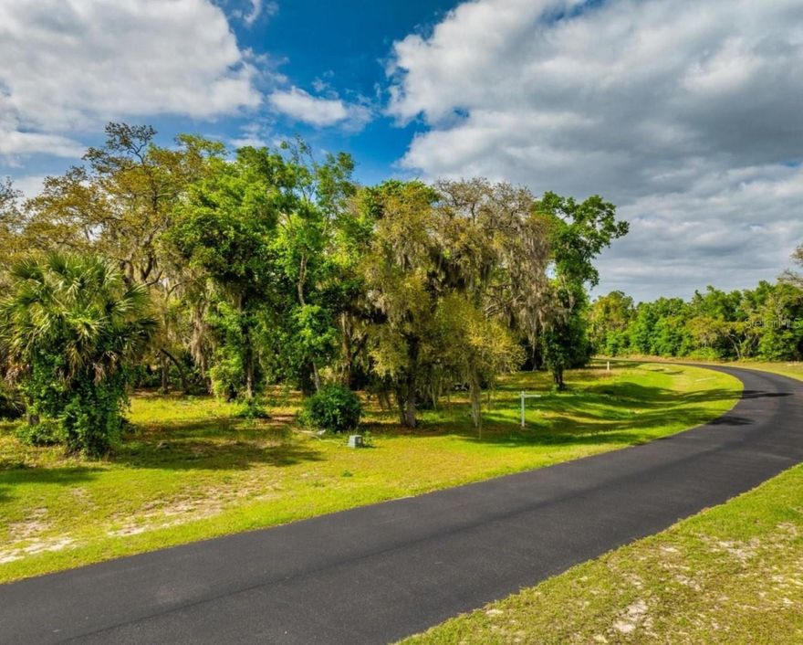 Build your dream home on this beautiful waterfront property, this lot is conveniently located to Florida turnpike,chain of lakes, and historic downtown leesburg , stop by today
