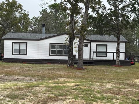 Photo of 12991 SE 77th Street, Morriston, FL 32668 (MLS # O6357441)