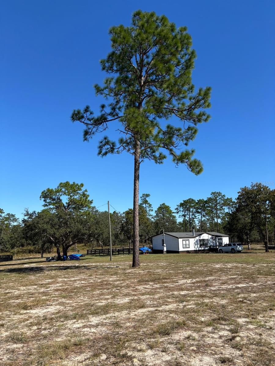 ROLLING PINES 02 - Residential