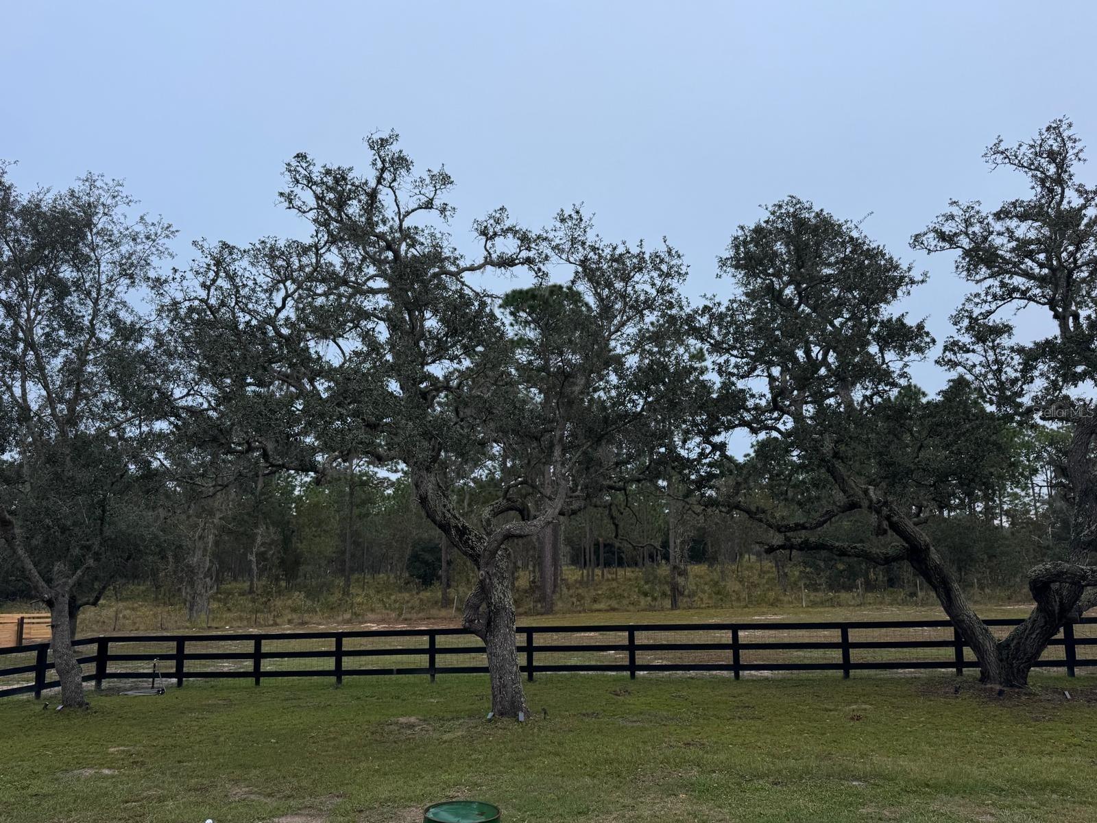 ROLLING PINES 02 - Residential