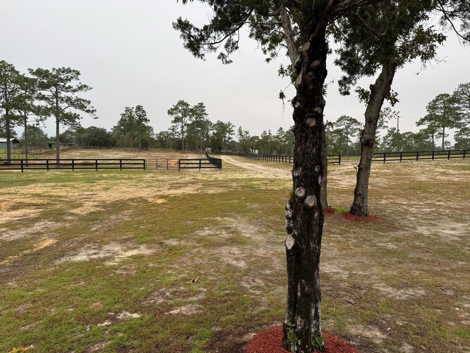 ROLLING PINES 02 - Residential