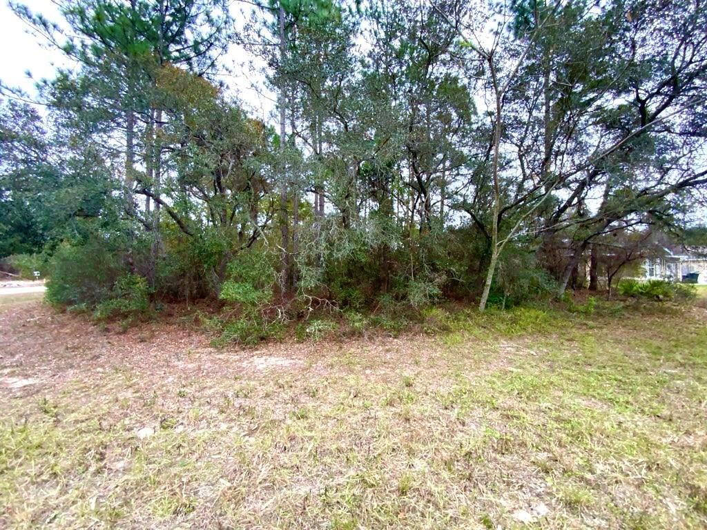 Photo of Tbd SW 150 Lane #09, Ocala, FL 34473 (MLS # G5105419)
