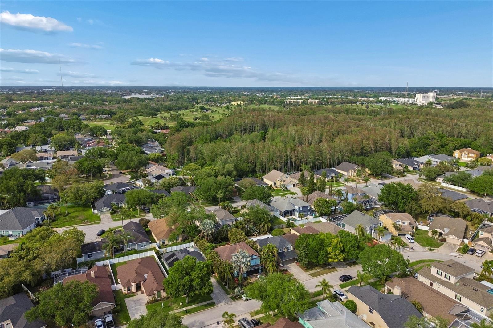 GRASSY POINTE - PH 1 - Residential