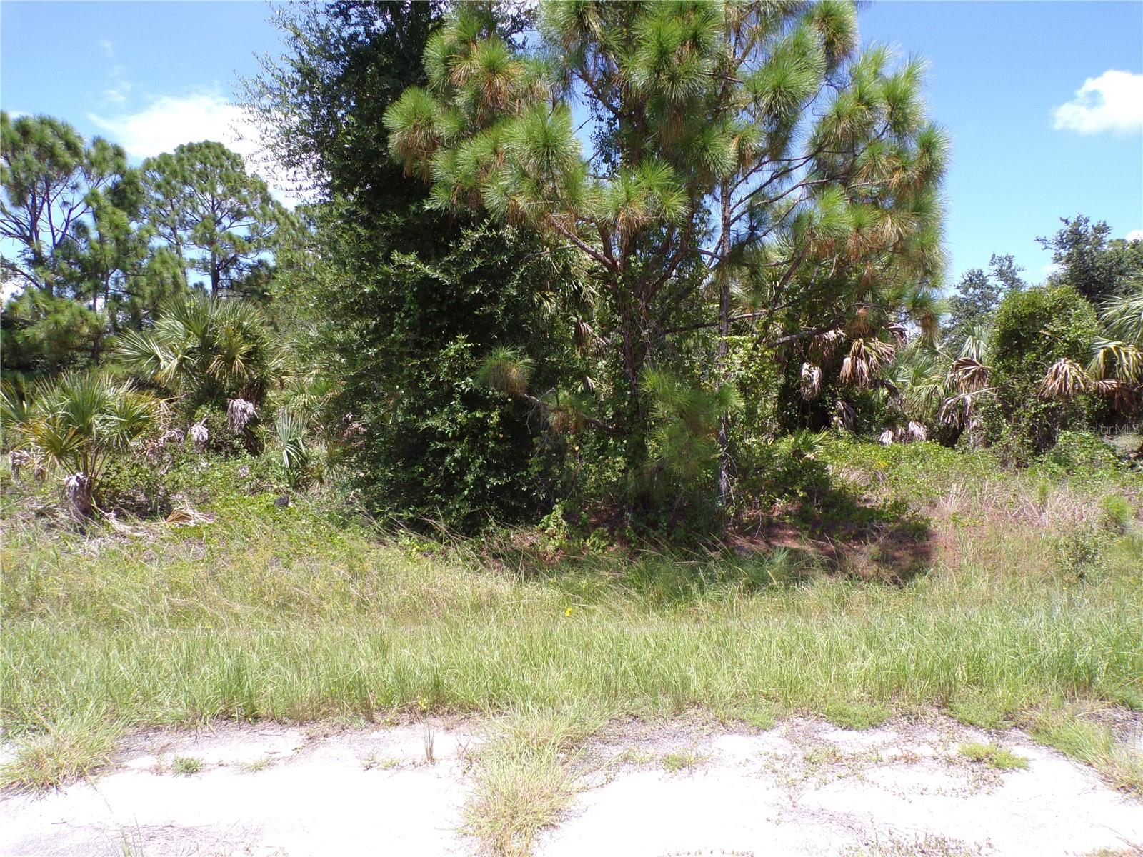 This double lot is in Flood Zone X and is over a Half Acre. Located on a quiet street that would be a great place to build your dream home and retire or raise your family. Less than 4 miles to I75 makes this location an easy commute to almost anywhere, and only 24 miles to Chadwick park at Englewood Beach with amazing sunsets, 6 miles to Port Charlotte Town Center and only 10 miles Punta Gorda Historic district and waterfront park with lots of shopping and dining options. Tampa Bay Rays spring training and the fairgrounds are just minutes away, also multiple golf courses and some of the best boating and fishing in all of Florida. Red Soxs, Orioles, Twins and Braves spring training all within an hour’s drive. Buyer and buyers rep responsible for determining environment conditions and endangered species restrictions. This lot is priced to sell so please call for availability! This lot is at a great price point for the investor call today.