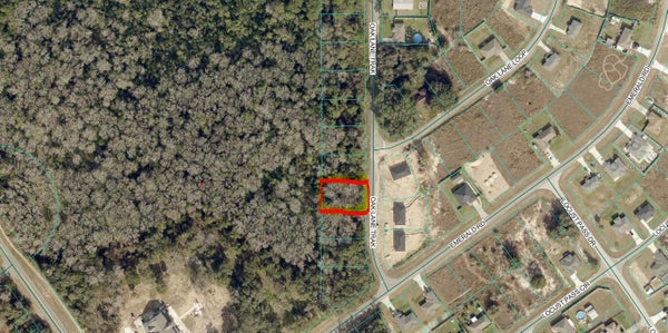 36 OAK LANE CRSE, OCALA, FL 34472 - Image 2f29f0ef7ccdcab3560a72187bfa867e/3773441061