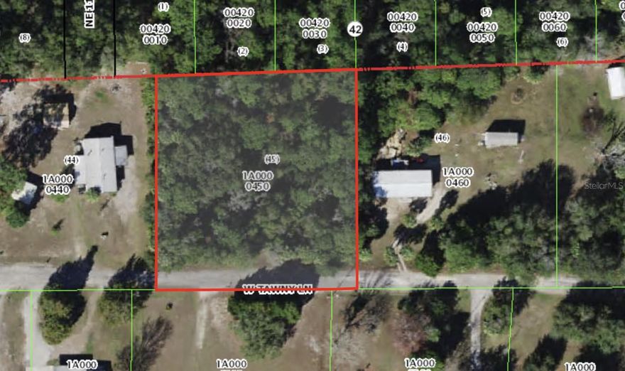 Build your dream home on this spacious 0.87 acre lot located on a quiet street at 8347 W Tawny Rose LN. Enjoy a peaceful setting with plenty of room for your home, garden or workshop. Just minutes from downtown Crystal River, shopping, dining and the Gulf/ perfect for boating, fishing and exploring the springs. No HOA and lots of potential!
