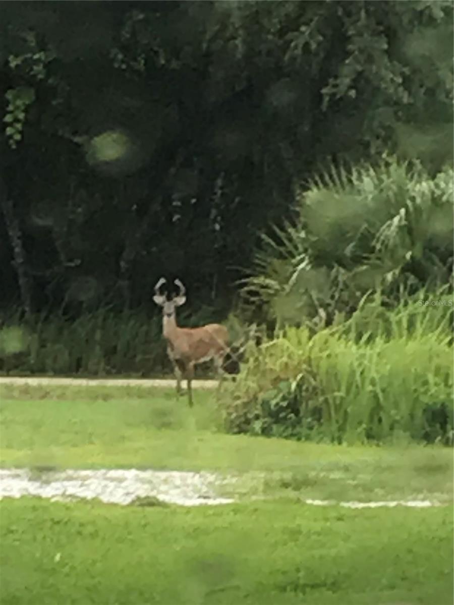 C HALE DANIELS - Residential