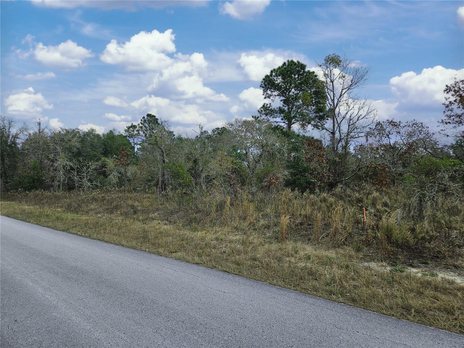GREAT FARM VIEW ON OVER 2 ACRES IN RAINBOW LAKES ESTATES. Ideal location for your new home just north of Dunnellon. Composed of two separable building lots this 2.04 acre parcel backs up to a 600 acre farm. Wide open views just out your back door. Each parcel measures about 120' on the road and 371' deep. Perfect size to either spread out or have a family member build next door.