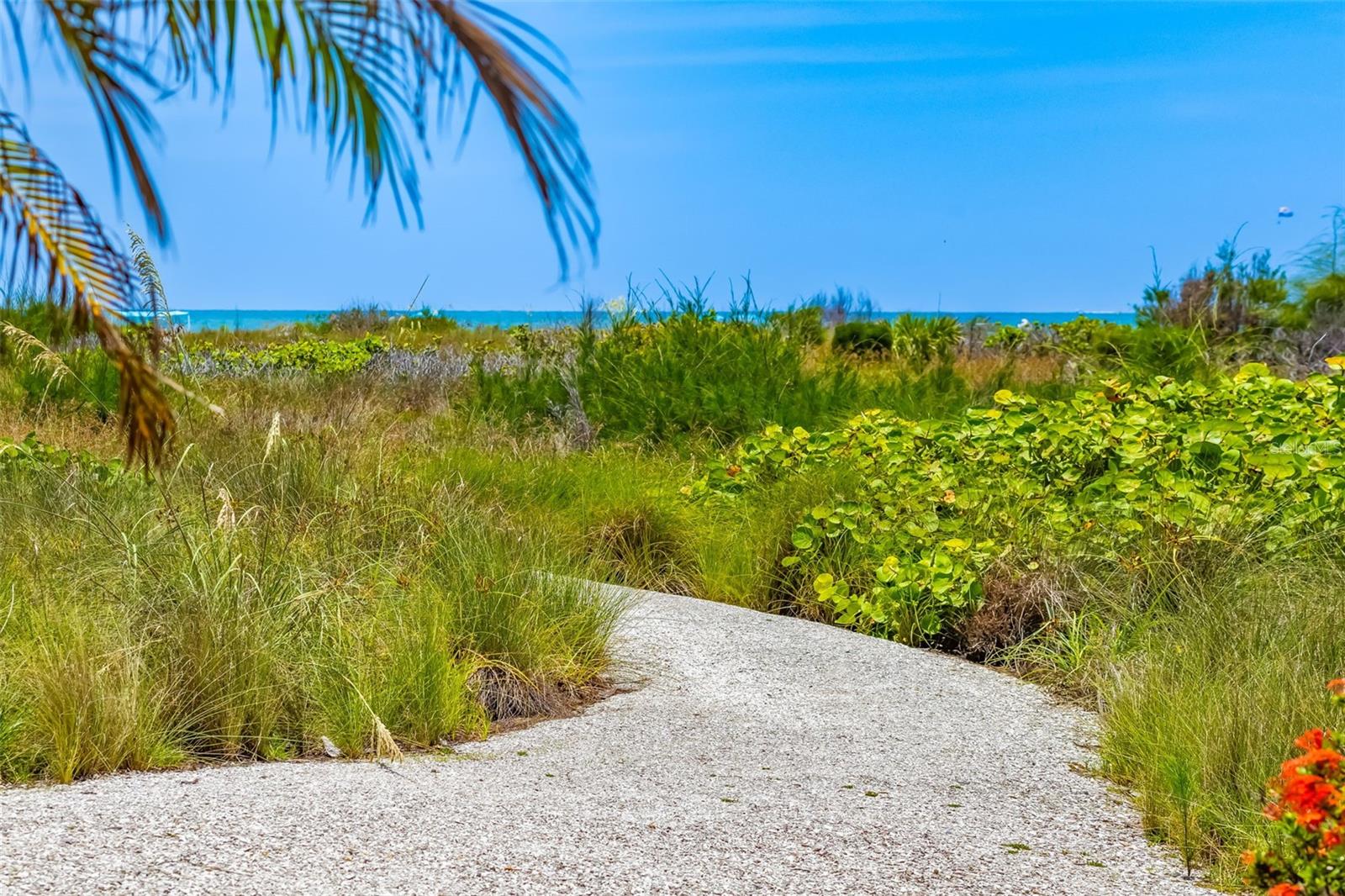 TIFFANY SANDS - Residential