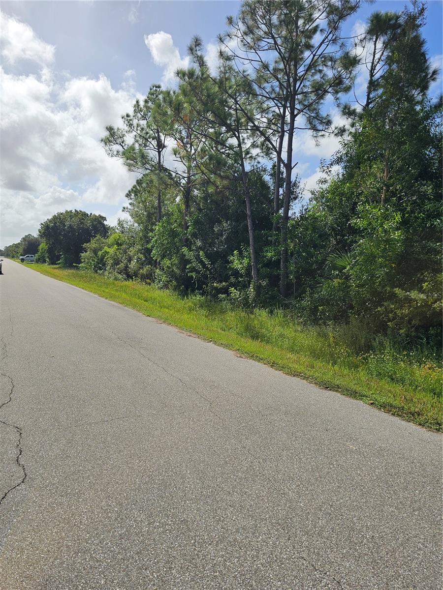 SOUTH PUNTA GORDA HEIGHTS 1ST ADD - Land