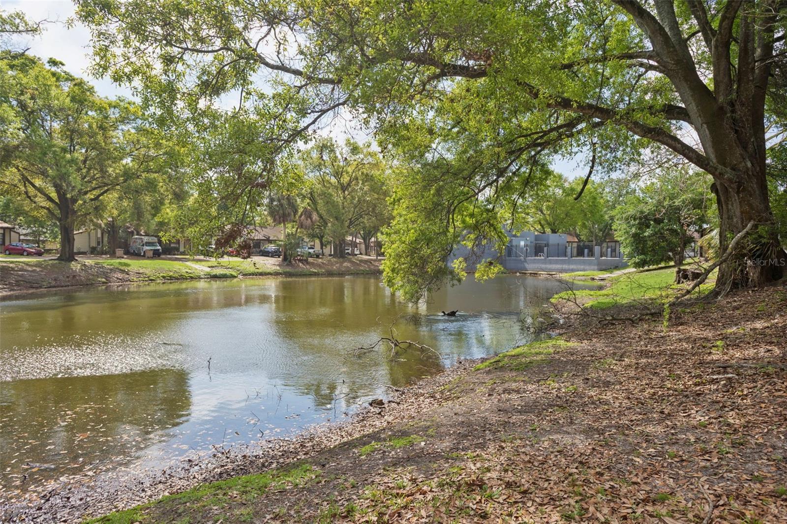 TERRACE OAKS TWNHMS - Residential