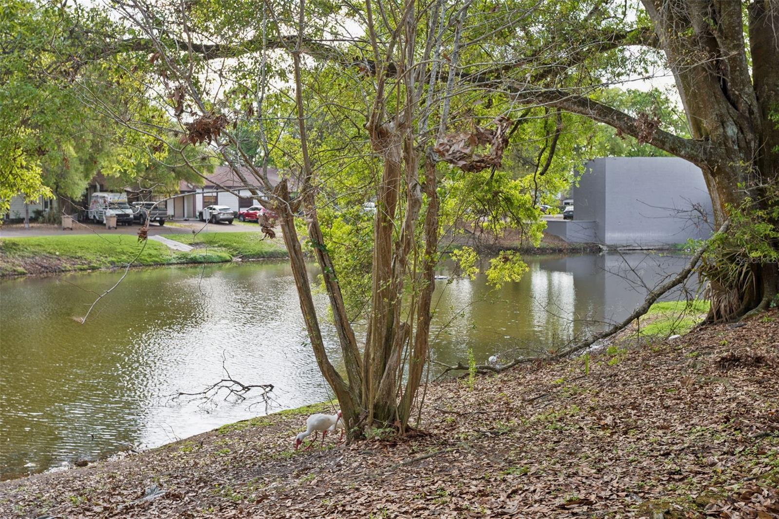 TERRACE OAKS TWNHMS - Residential