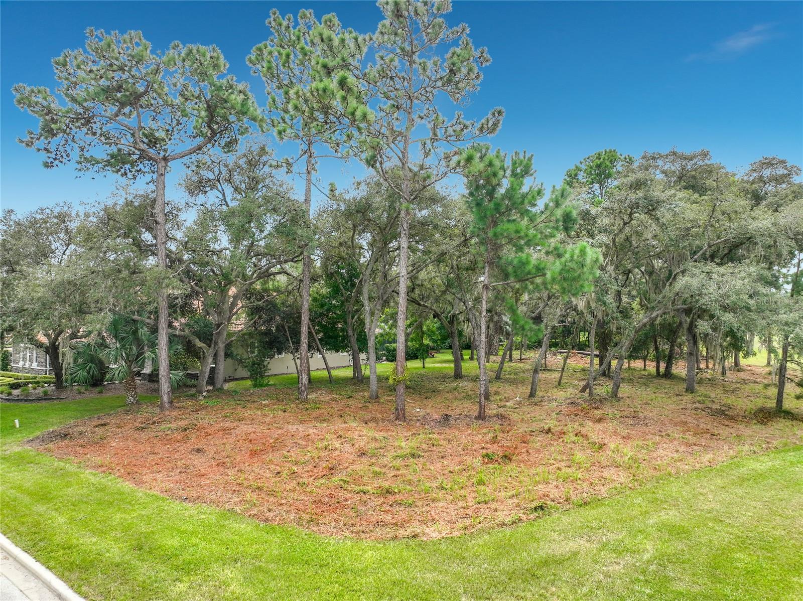 262 OSPREY HAMMOCK TRAIL