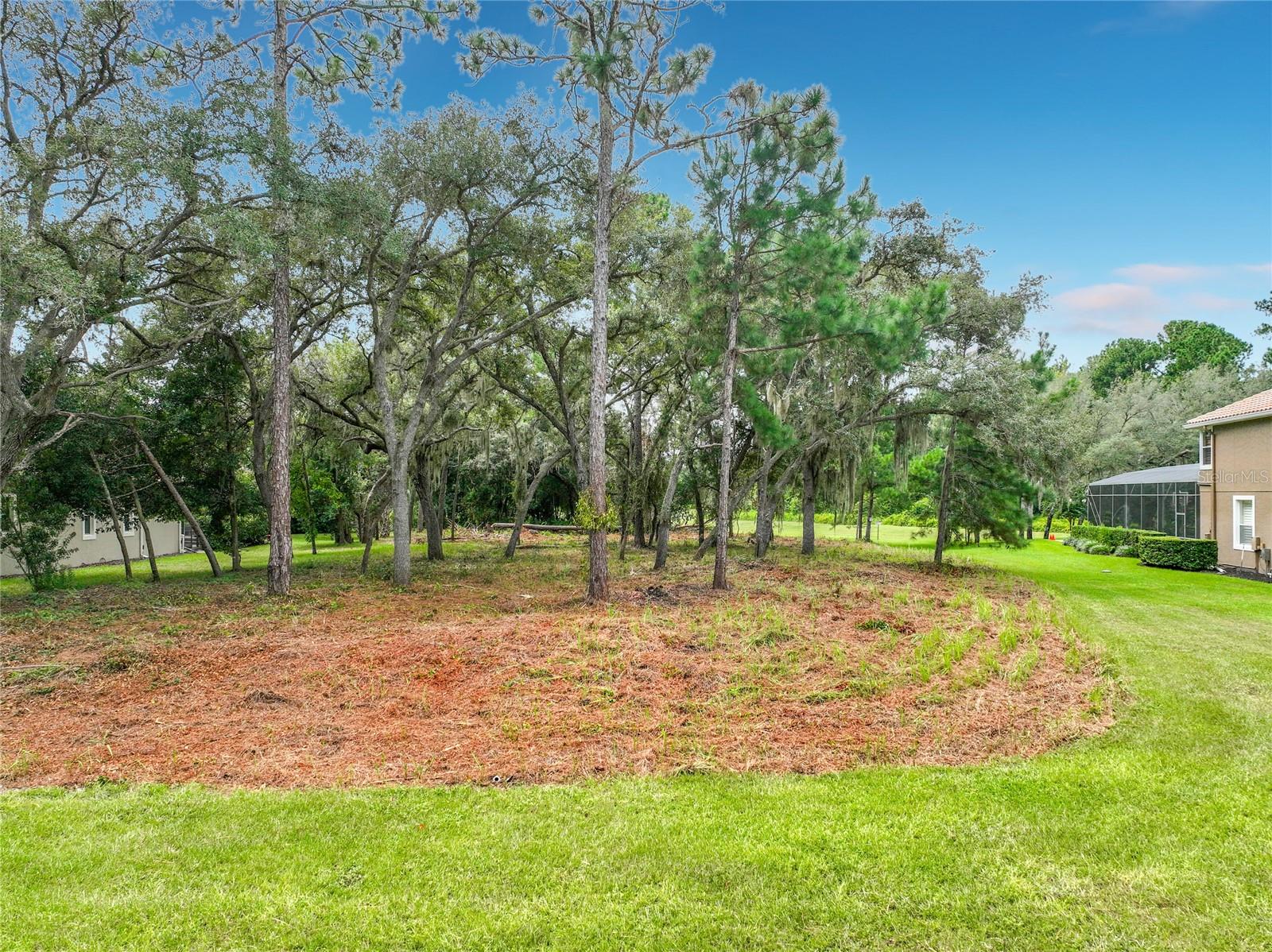 262 OSPREY HAMMOCK TRAIL