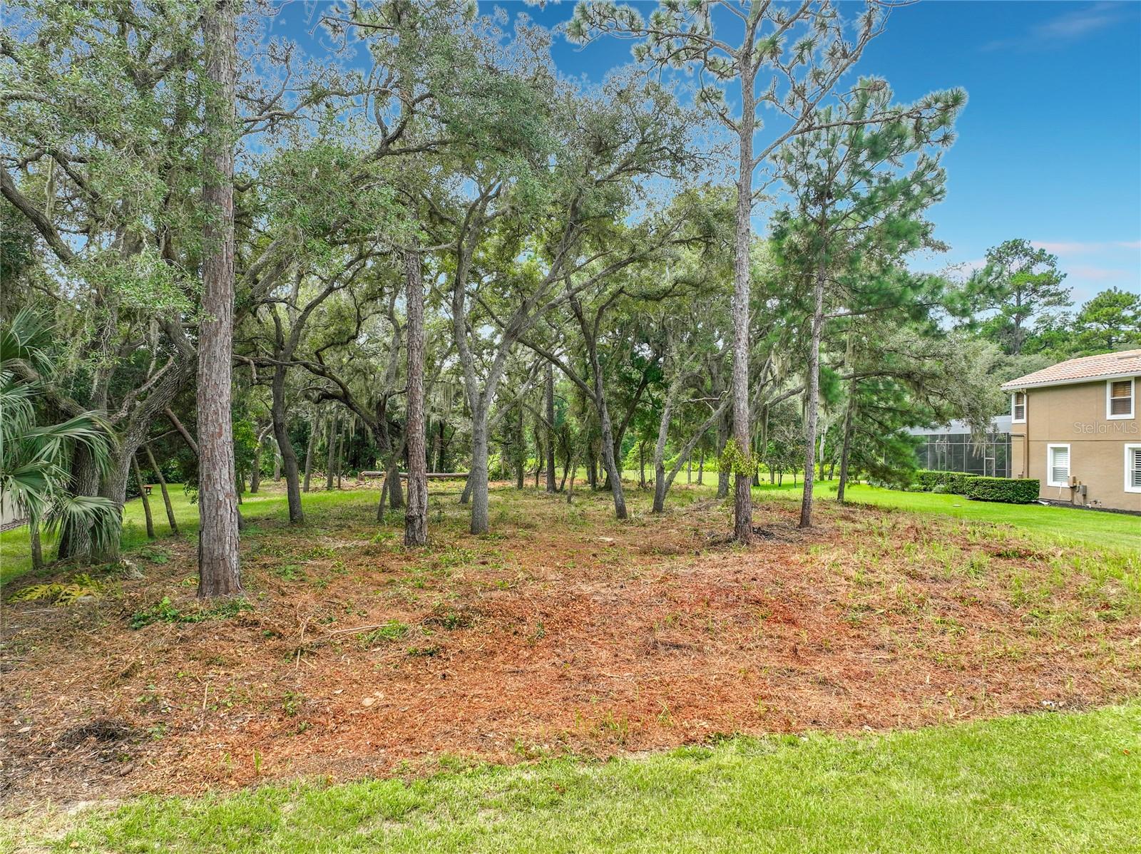 262 OSPREY HAMMOCK TRAIL