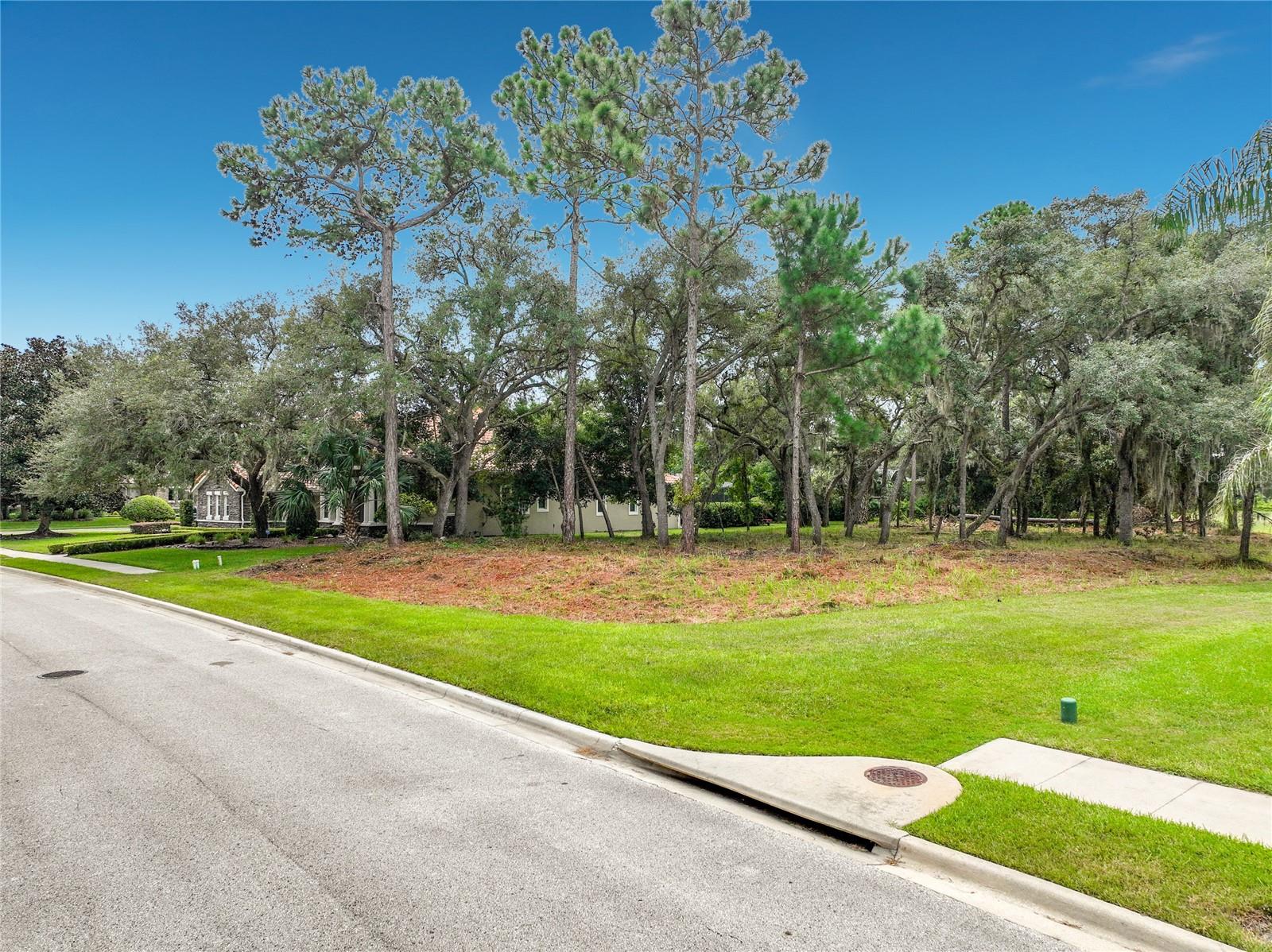 262 OSPREY HAMMOCK TRAIL