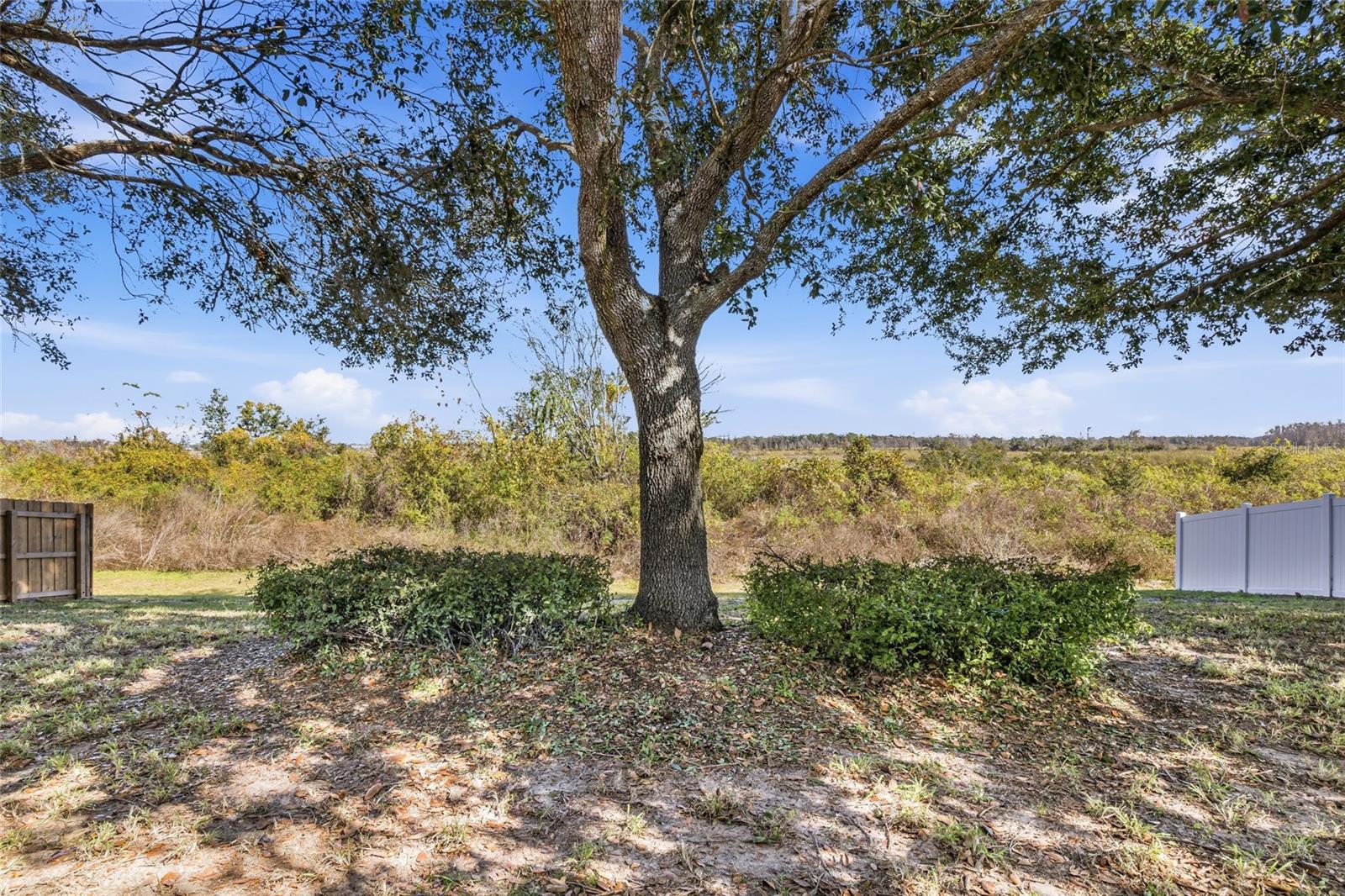 LEXINGTON ESTATES - Residential