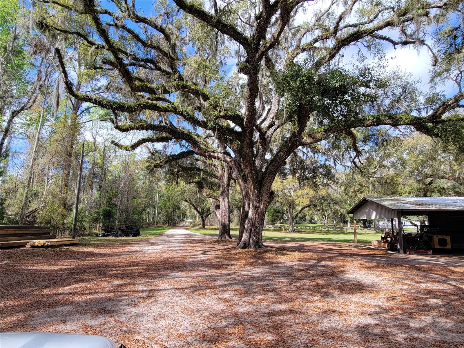 EAST BROOKSVILLE - Residential