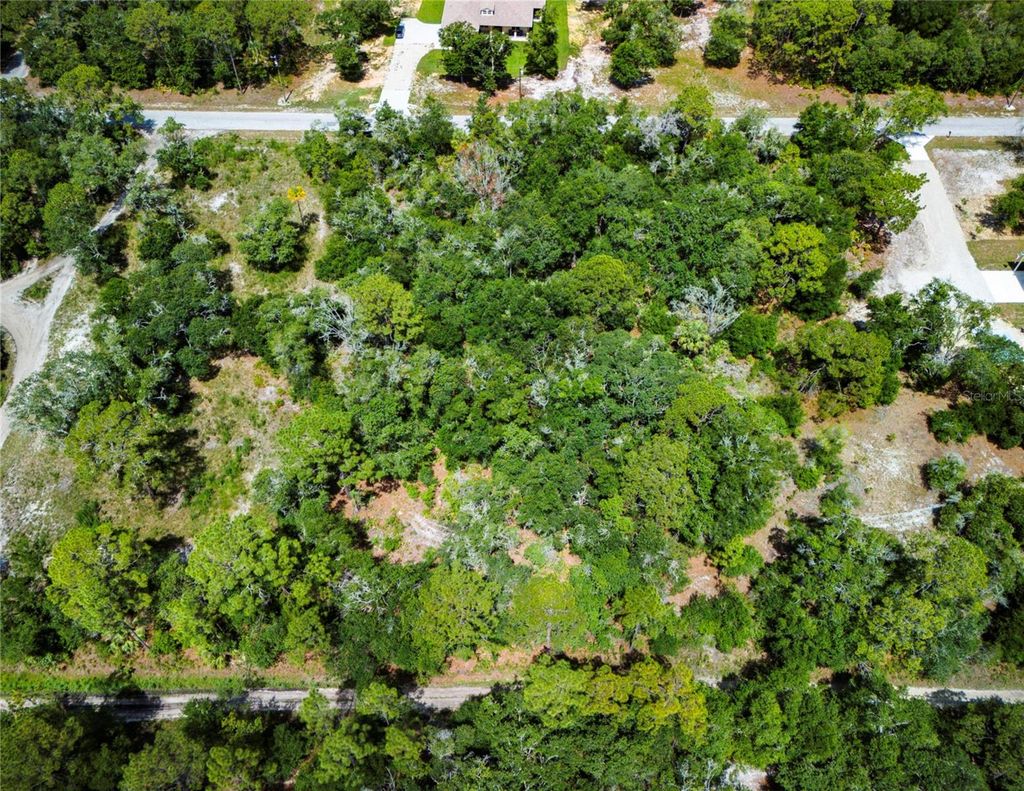 Photo of 10133 N Marigold Terrace, Crystal River, FL 34428 (MLS # A4677675)