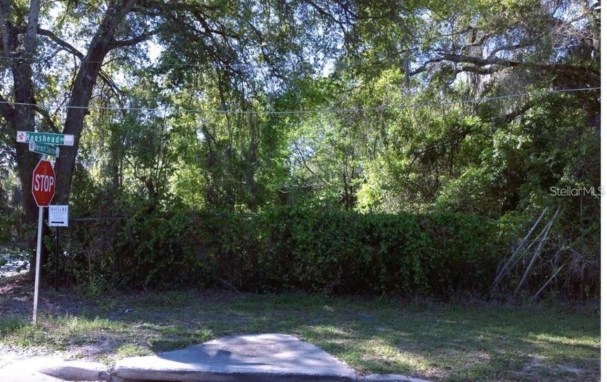 Corner Lot – Ready for Construction in Apopka
An excellent investment opportunity in Apopka. This fully buildable corner lot is strategically located, with easy access to major highways such as 441, 429, and 414, providing convenient connections to the rest of the metropolitan area.
Strategically located near Routes 441, 429, and 415
R-3 zoning in Orange County with a variety of residential options

From 441 is Plymouth, go South on Hermit Smith Road. The lot is on the right at the corner of Hermit Smith and Hogshead Roads.