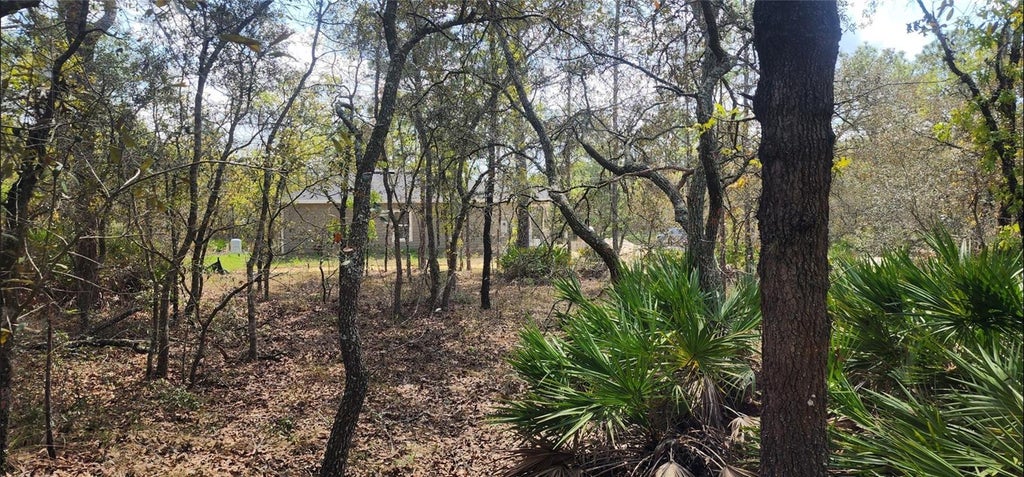 Photo of 18106 Parakeet Road, Brooksville, FL 34614 (MLS # TB8532466)