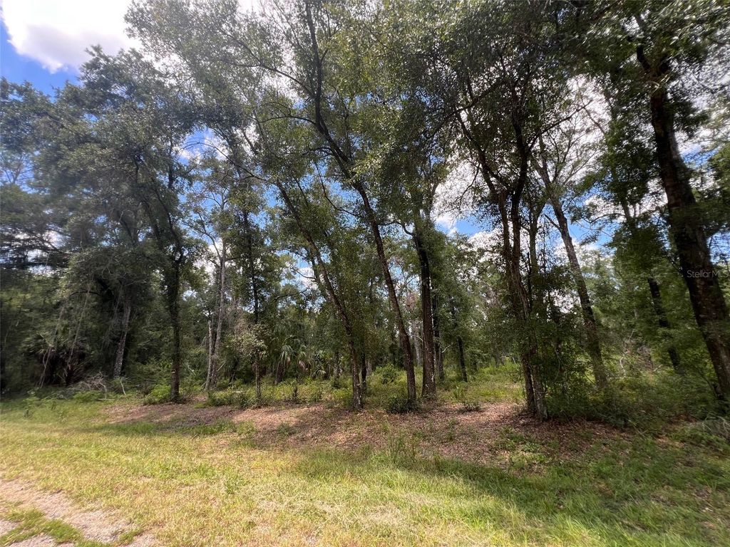 Photo of 1628 E Derby Drive, Dunnellon, FL 34434 (MLS # OM709706)