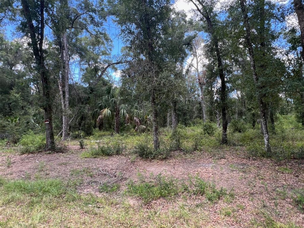 Photo of 1628 E Derby Drive, Dunnellon, FL 34434 (MLS # OM709706)