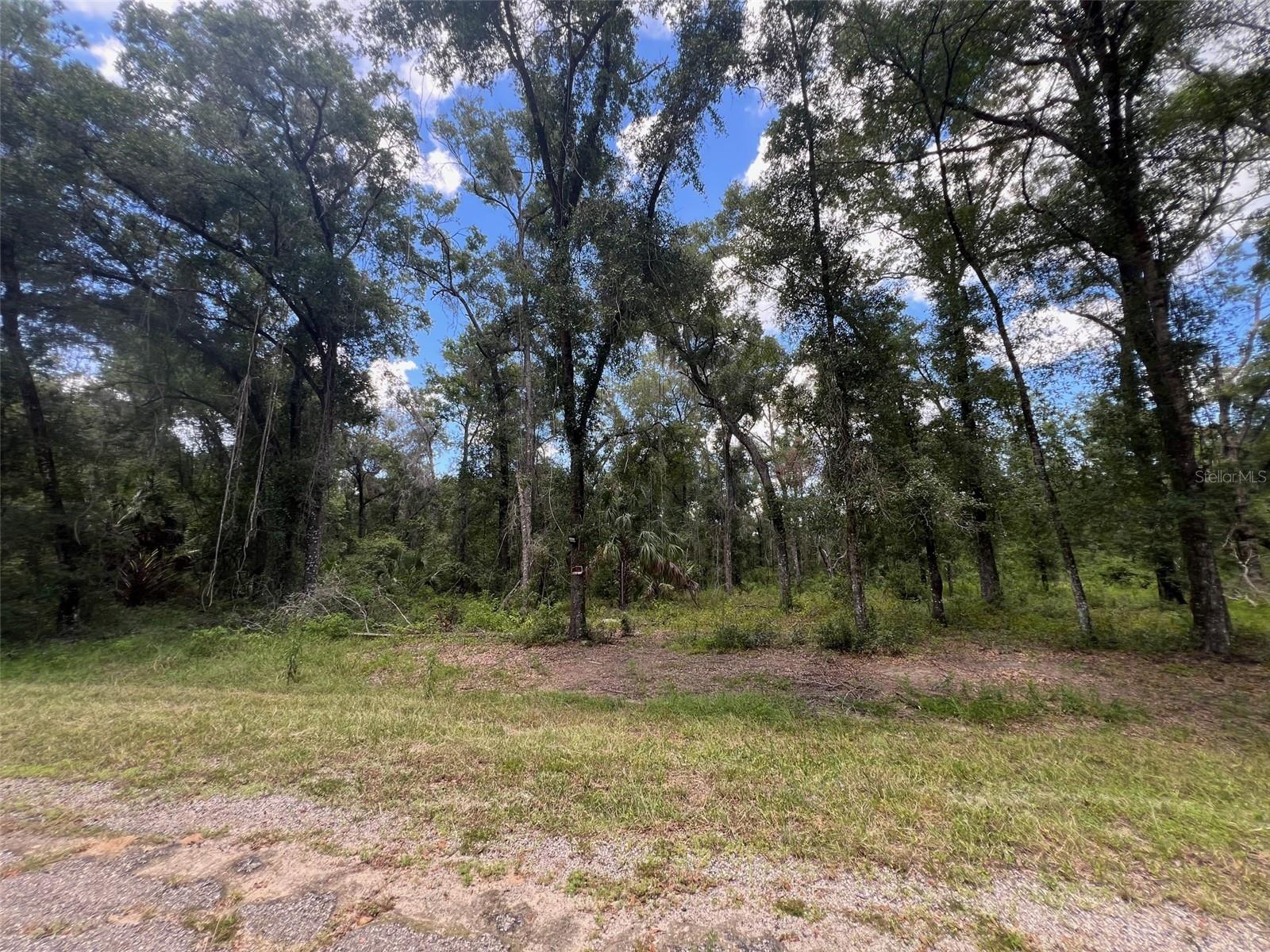Come build your dream home in the growing community of Citrus Springs. This .35 oversized lot is tucked away off the beaten -path on the east side Citrus Springs. Some tree and brush clearing has been done to prepare for a home site. Come experience a country setting with nature and wild life, while being with 10 miles to modern conveniences. Several natural springs, rivers, the bike trail and the World Equestrian center are a few of the benefits to living in this central citrus county location. With the expansion of the Suncoast parkway, getting to Tampa is a breeze. Come take a look at the potential this lot has for your next home.