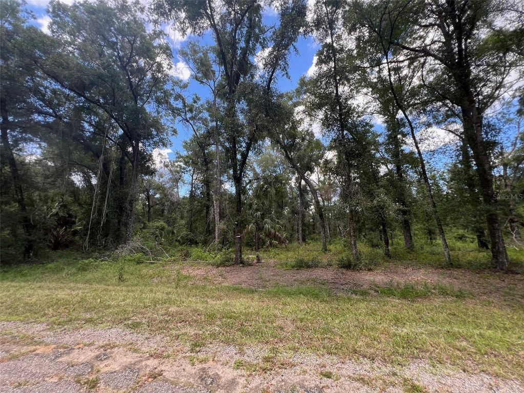 Photo of 1628 E Derby Drive, Dunnellon, FL 34434 (MLS # OM709706)