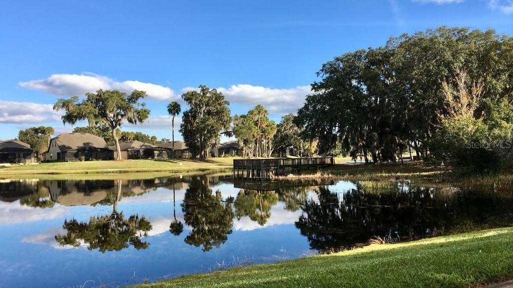 DEL WEBB ORLANDO PH 1 - Residential